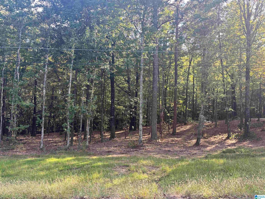 LOT 2 Morton Rd unit 2, Warrior, AL 35180 - photo 1