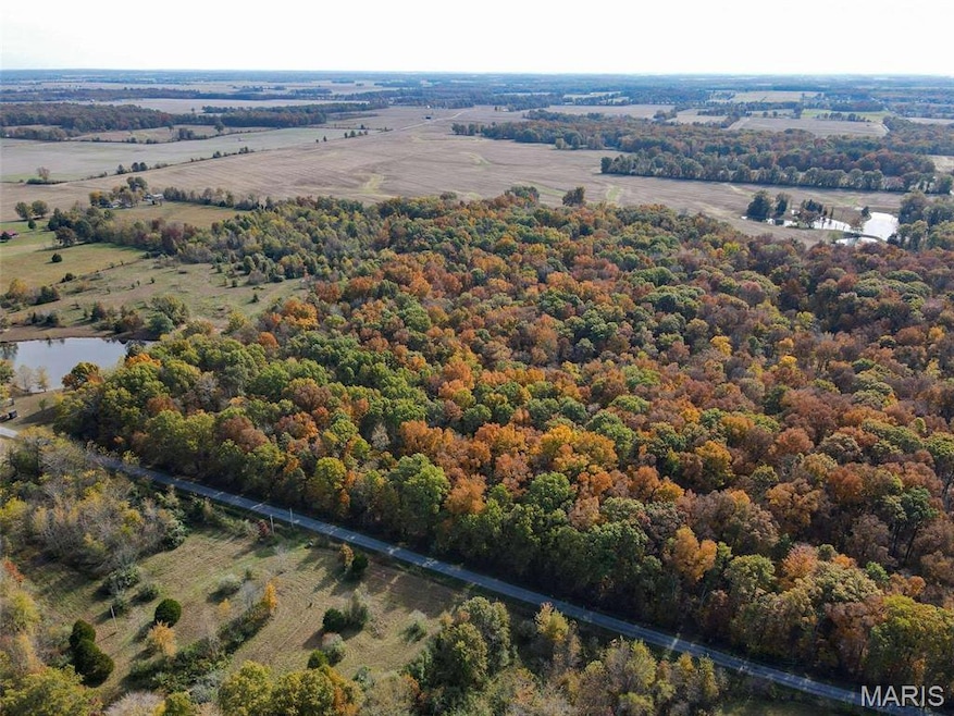 Bird's eye view of a nearby body of water