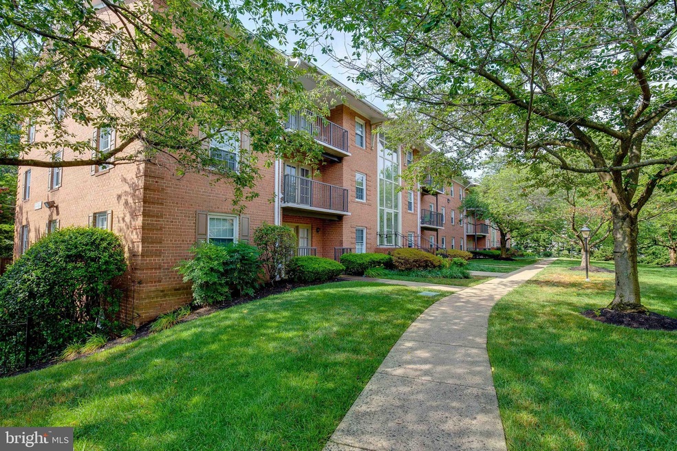 3336 Spring Ln unit A34, Baileys Crossroads, VA 22041 - photo 1