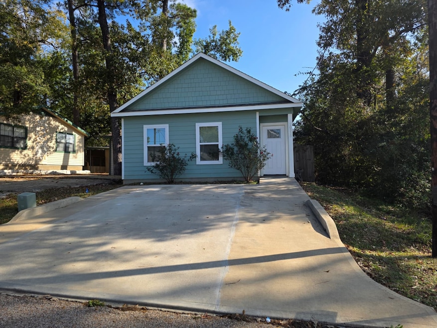 16338 Eastchase, Montgomery, TX 77316 - photo 1