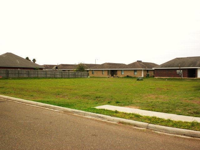 404* Cedar Ave, Donna, TX 78537 - photo 1