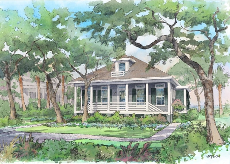 The Sapelo