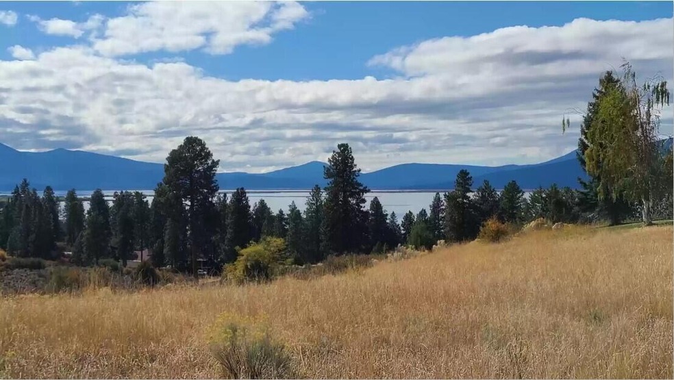 Lake view