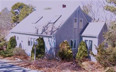 Primary Photo