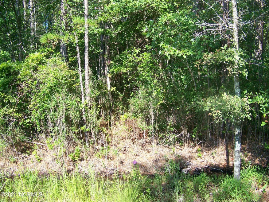 wooded