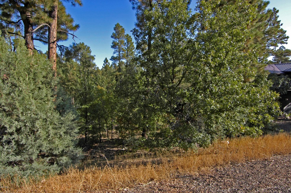 Street view to left_5997_lead