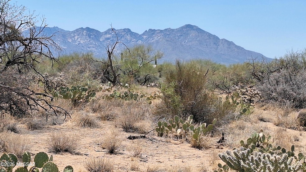 14465 S Ezra Place unit 358, Three Points, AZ 85736 - photo 1