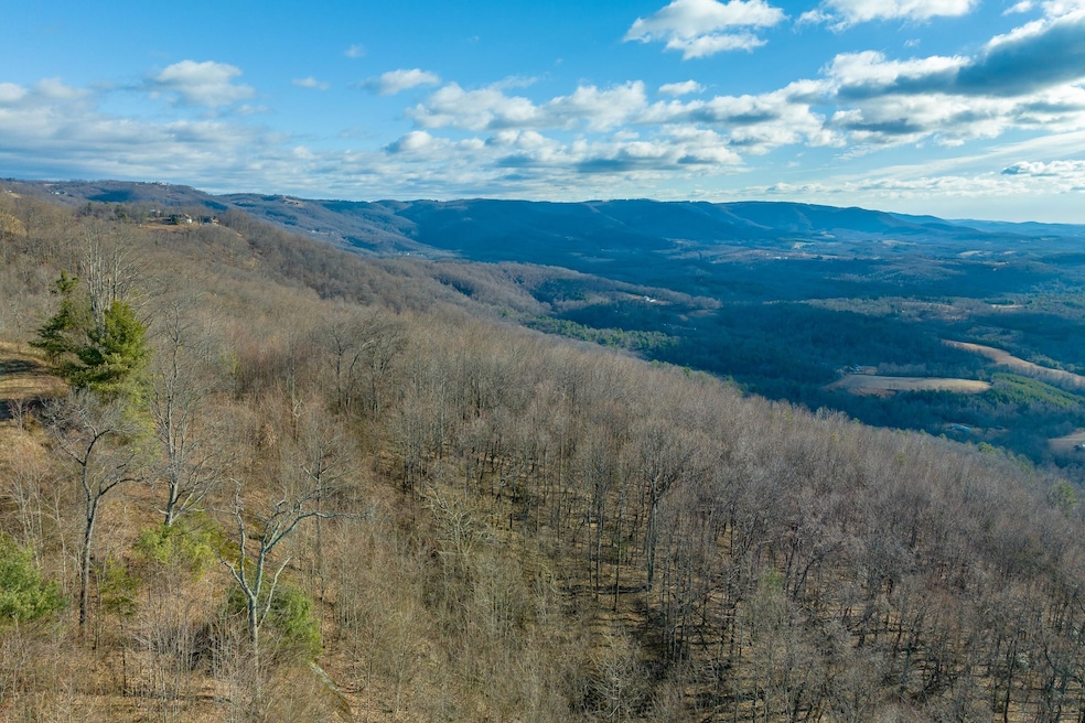 0 Spring Pond Trail, Cana, VA 24317 - photo 1