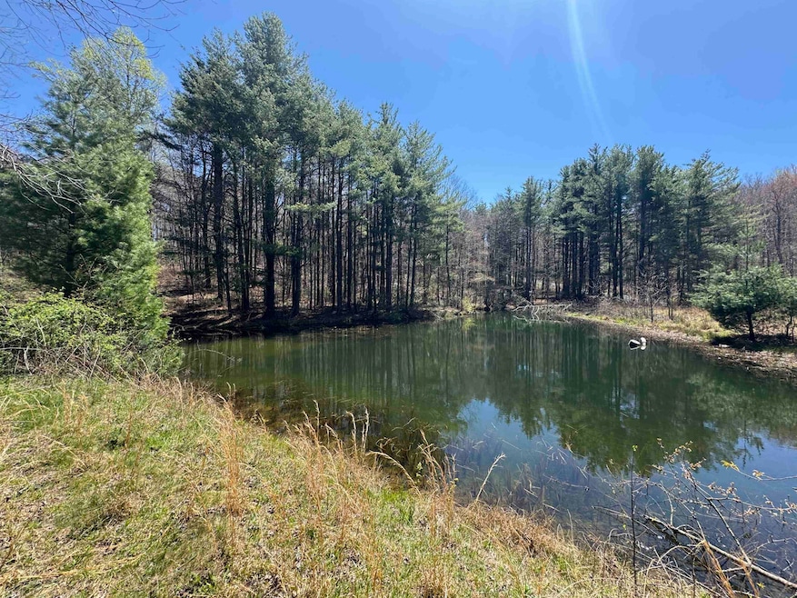 0 Cherry Creek Rd unit 423795, Meadows of Dan, VA 24120 - photo 1