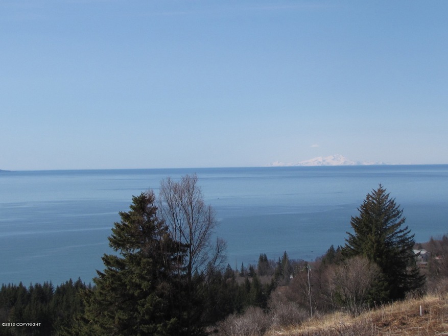 Cook Inlet and Volcano Views