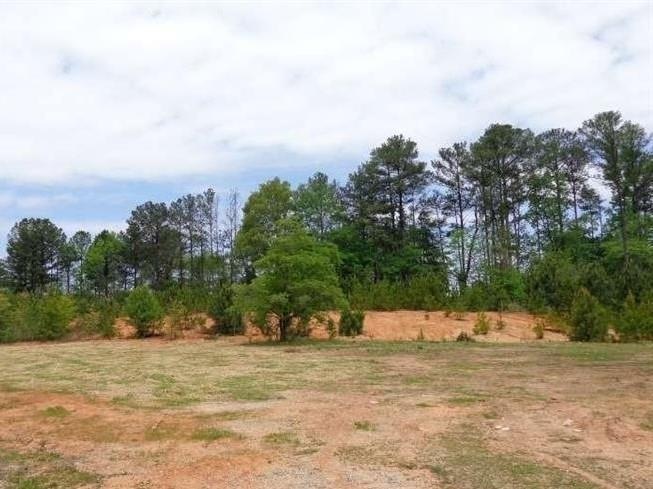 Approximately 10 acres of land, flag lot with pond