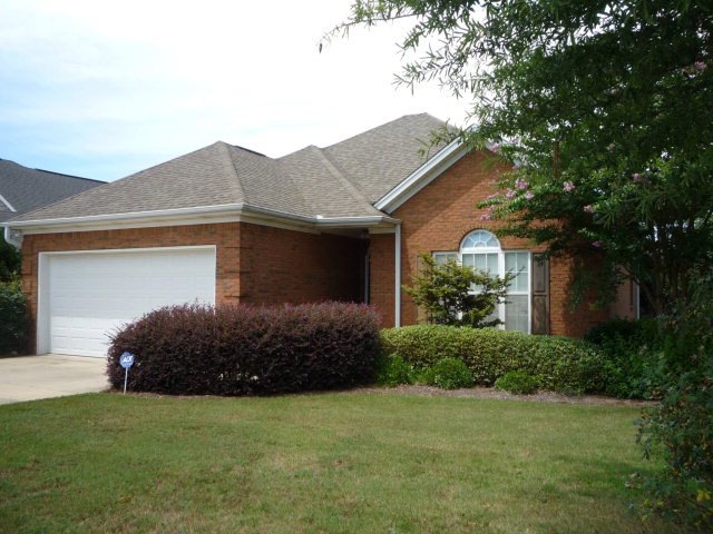Main View