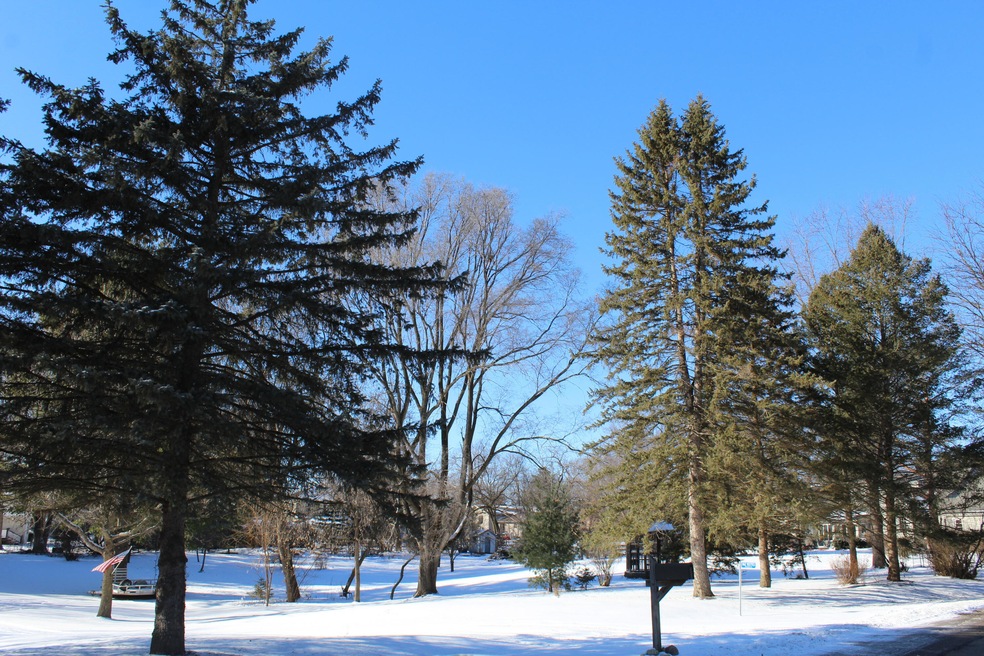 View of the Lot