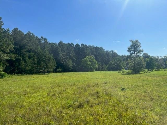 13.37 Acres Boyd Rd, Covington, LA 70435 - photo 1
