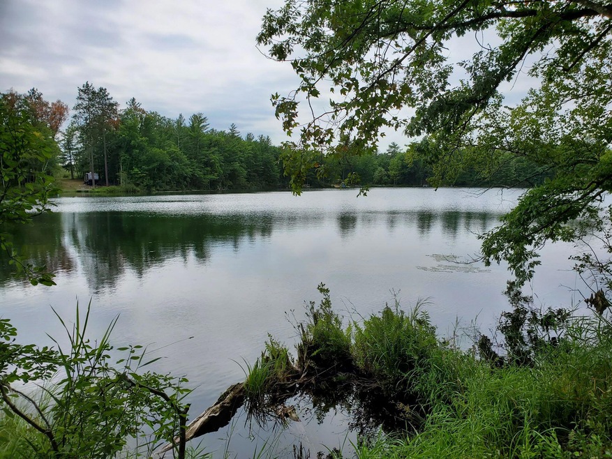 0 68th St unit 23031030, Idlewild, MI 49642 - photo 1