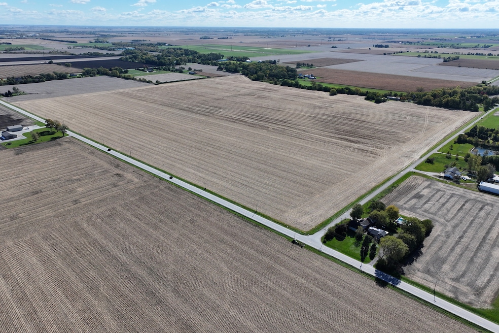 8451 N 3000 West Rd, Manteno, IL 60950 - photo 1