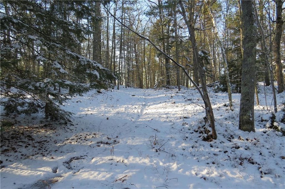 Trail leading through the property.