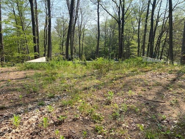 390 Allard Farm Circuit, North Conway, NH 03860 - photo 1