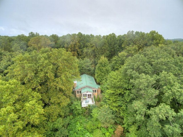 Main View