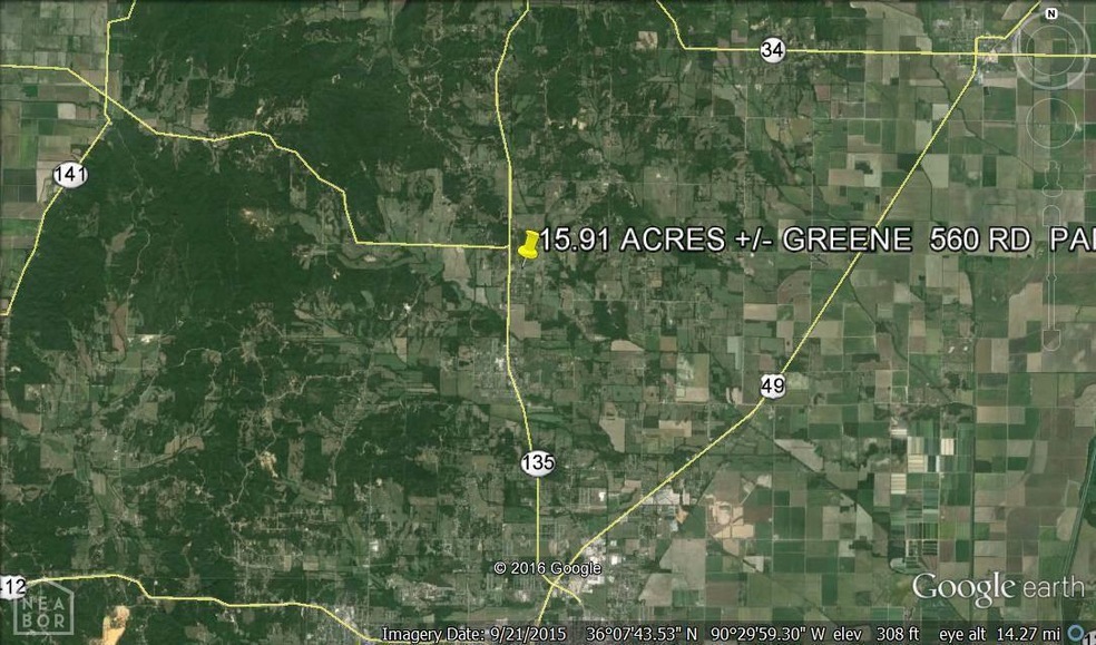 6950 Highway 135 N, Paragould, AR 72450 - photo 1