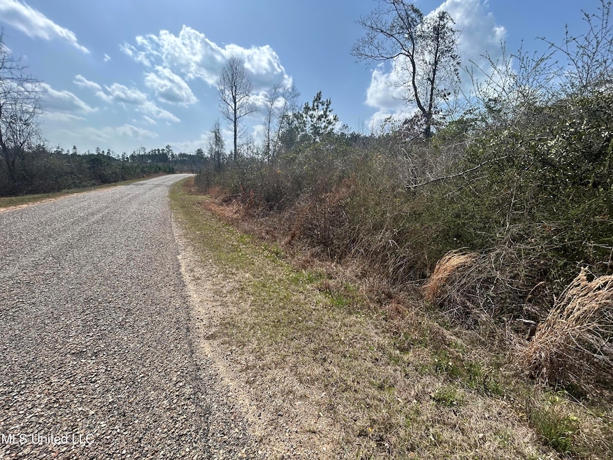 00 Jordan Hill Rd, Carson, MS 39427 - photo 1