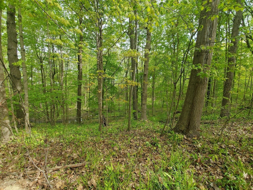 Kruger VL