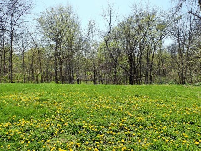 Lot 82 Brook Forest, Nixa, MO 65714 - photo 1