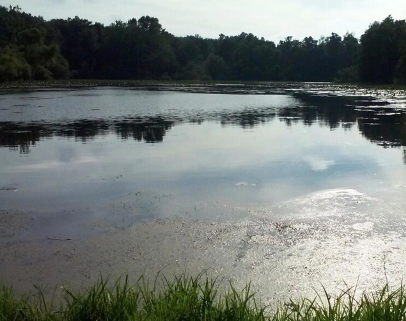 6850 N Range Rd, La Porte, IN 46350 - photo 1