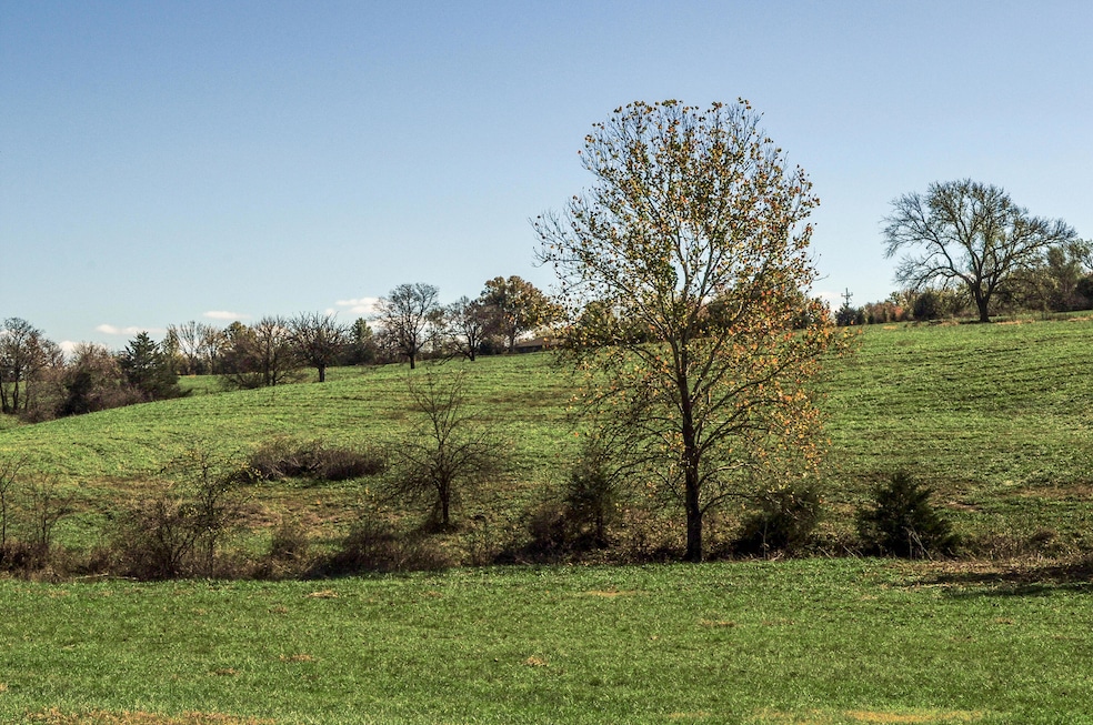 Tract 4 E 425th Rd, Fair Play, MO 65649 - photo 1