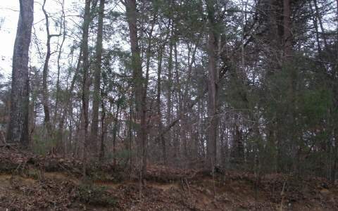 TR 4 Timberland Dr, Ellijay, GA 30540 - photo 1