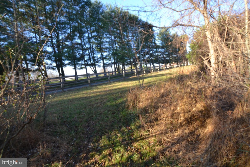 1312 Ednor Rd, Silver Spring, MD 20905 - photo 1