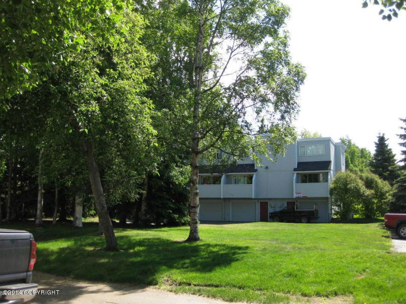 Summer From Courtyard