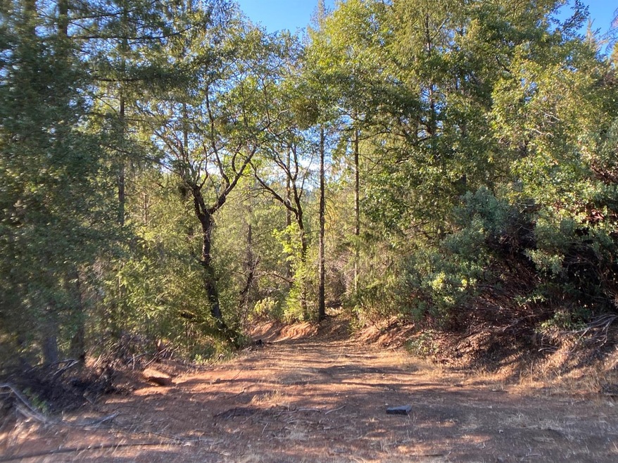 5 Light Canyon Rd, Kelsey, CA 95667 - photo 1