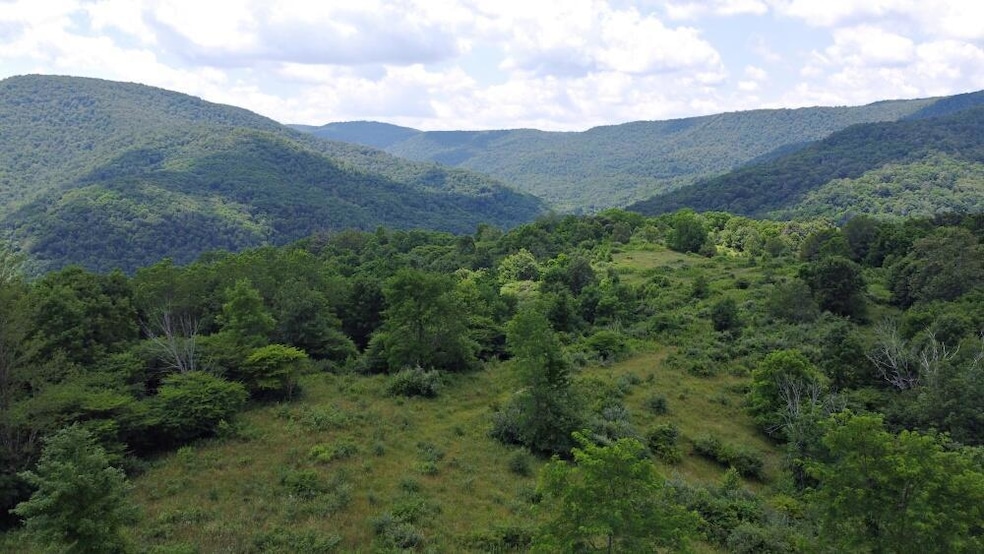 556.66 Acres
