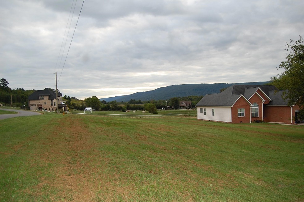 1324535 - 27 Little Ponderosa Trl 018