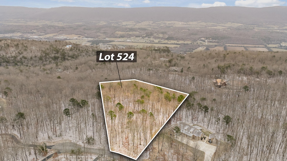 0 Twilight Trail, Dunlap, TN 37327 - photo 1
