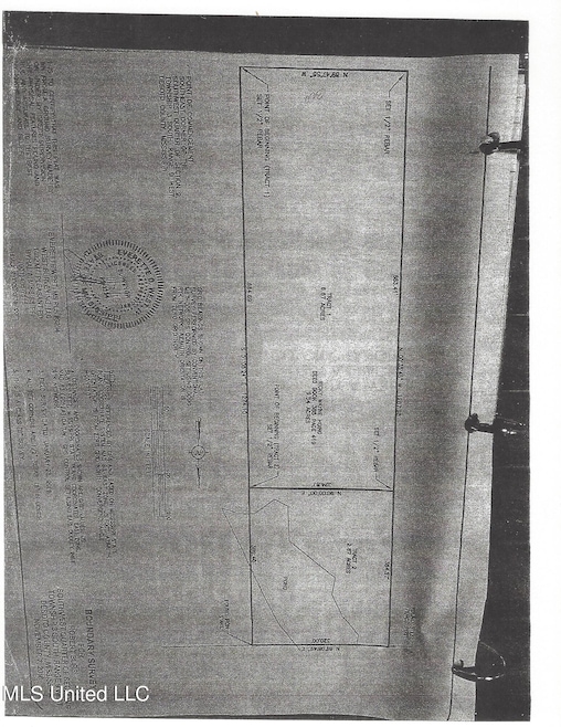 Scan