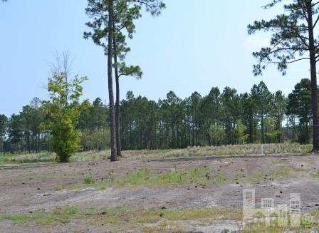 1412 W Gantry Ct, Leland, NC 28451 - photo 1