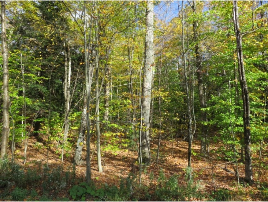 G2/G3 Sawmill Rd, Stratton, VT 05360 - photo 1