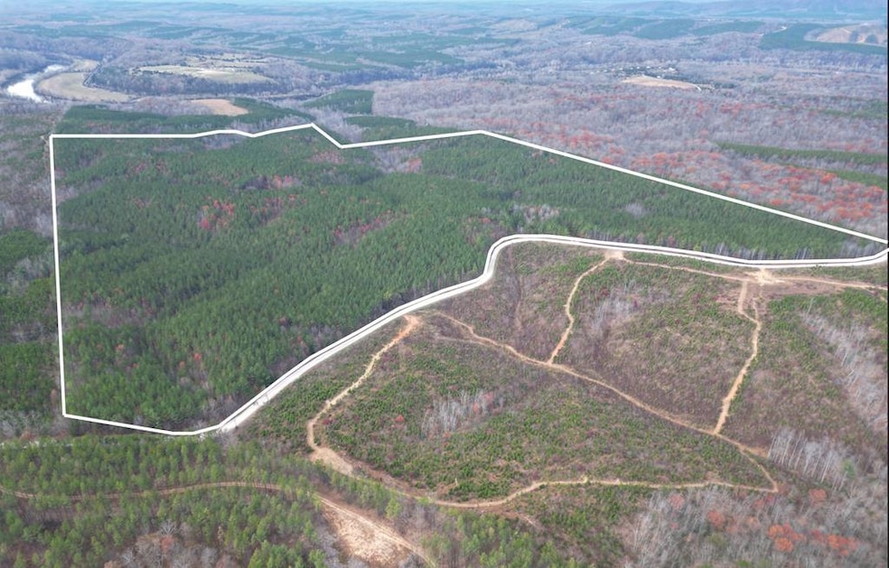 606 Spears Mountain Rd, Wingina, VA 24599 - photo 1