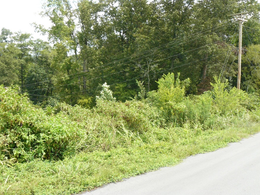 Lot 17 Lookout Dr, Rutledge, TN 37861 - photo 1