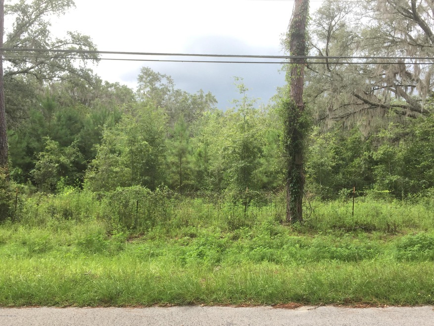 276 NW Battle Hill Ln, Lake City, FL 32055 - photo 1