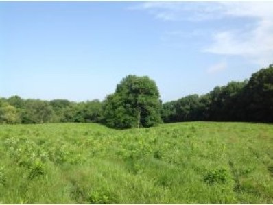 0 Pocket Rd unit 281363, Batesville, IN 47006 - photo 1