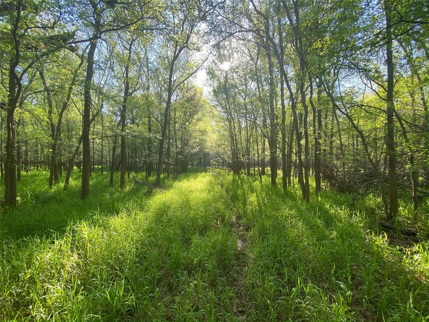 354 Lipan Trail, Horseshoe Bend, TX 76087 - photo 1