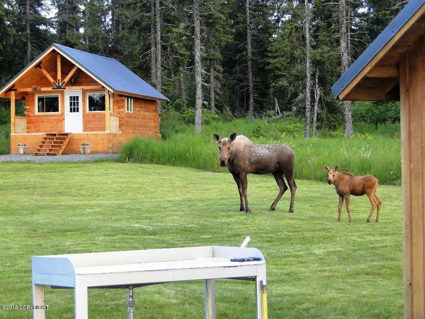 Exterior Cabin 1