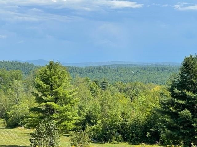 000 Heritage Hill Rd unit 13, Conway, NH 03813 - photo 1