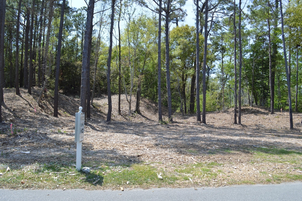 305 Cape Fear Loop