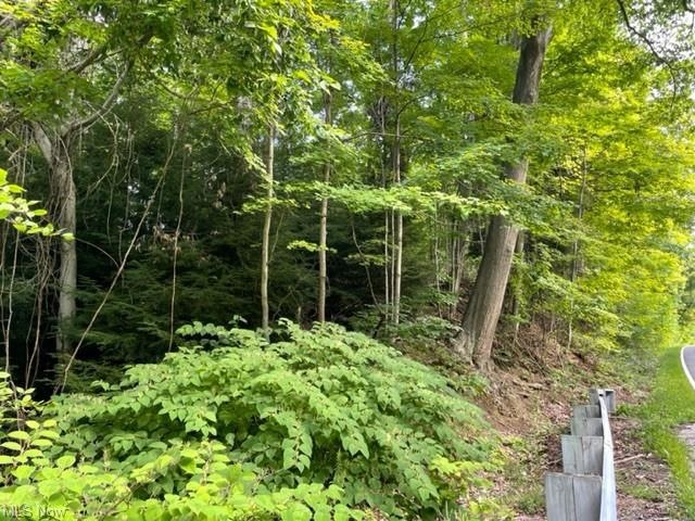 Beautiful wooded land on Leroy Thomspon Rd, 61 acr