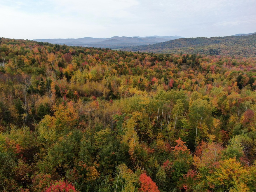 DJI_0136