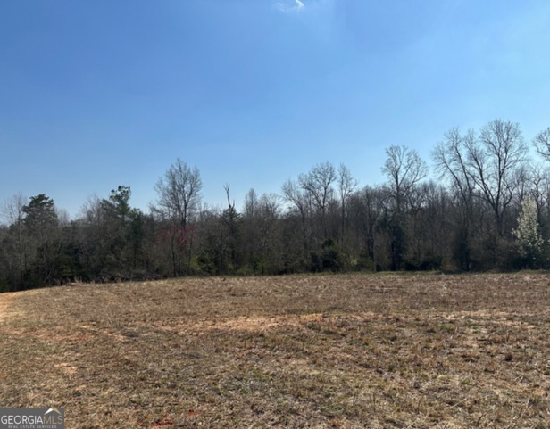 0 Mineral Springs Trail unit 10398153, Demorest, GA 30535 - photo 1